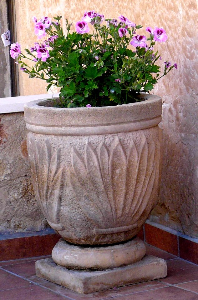 San Asensio - Maceta