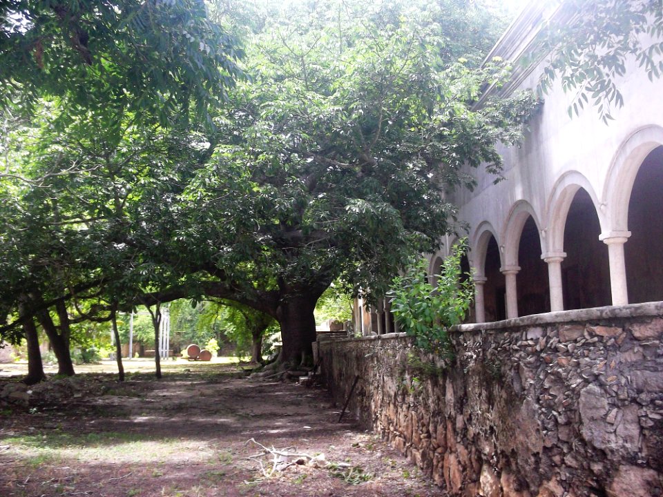 San Antonio Tedzidz, Yucatán (08)