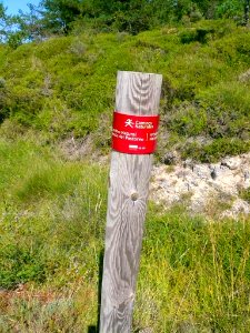 San Zadornil , paraje campestre 4
