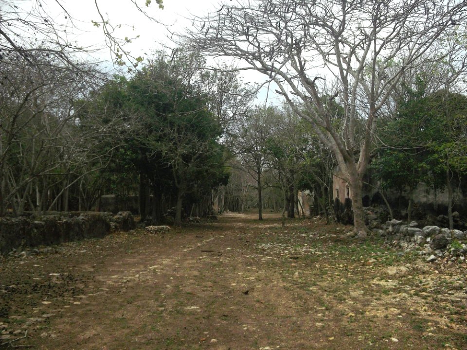 San Diego (Tekantó), Yucatán (06)