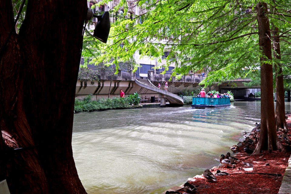 San Antonio River Walk IMG 6093
