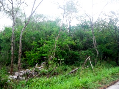 San Antonio Puhá, Yucatán (09)
