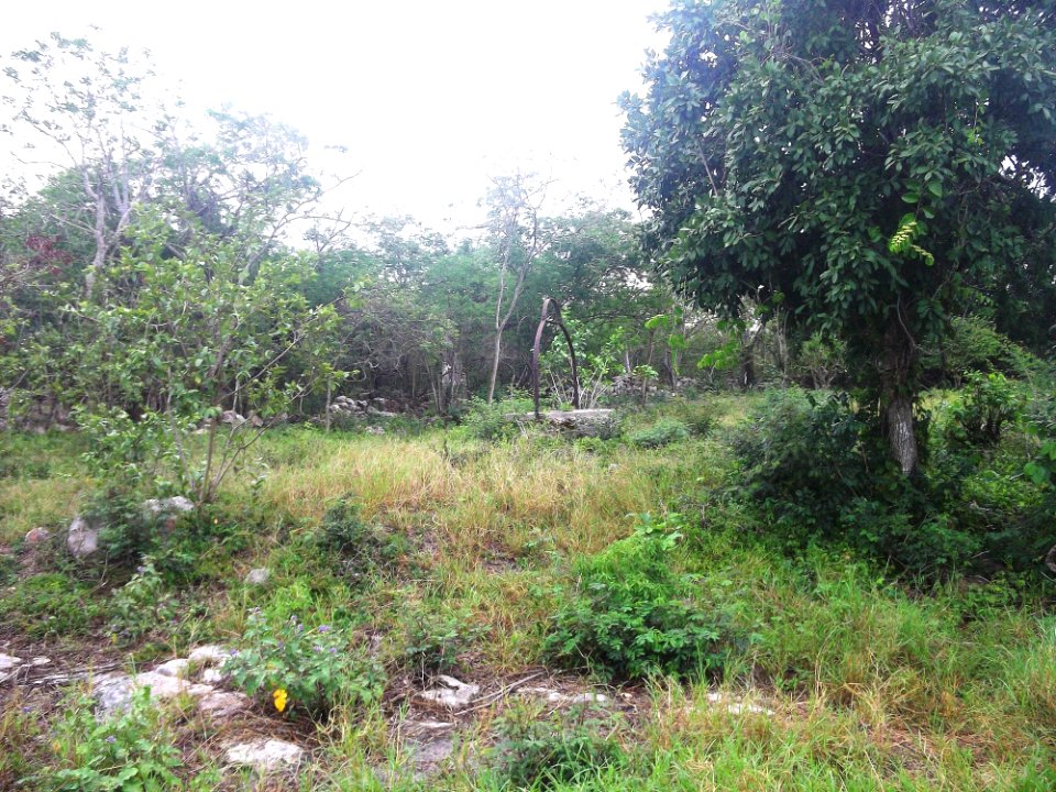 San Antonio Puhá, Yucatán (04)