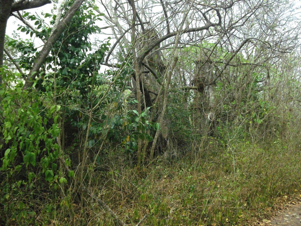 San Antonio Holcá, Yucatán (10)