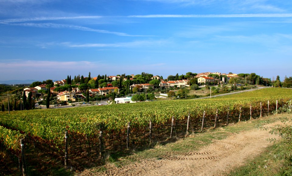 San donato hill view