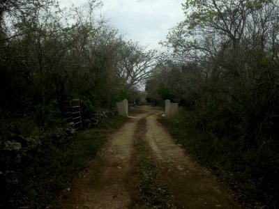 San Diego (Tekantó), Yucatán (01)
