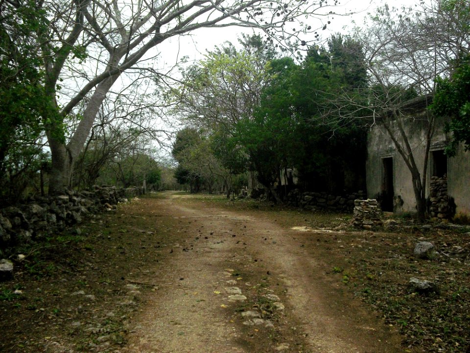 San Diego (Tekantó), Yucatán (03)