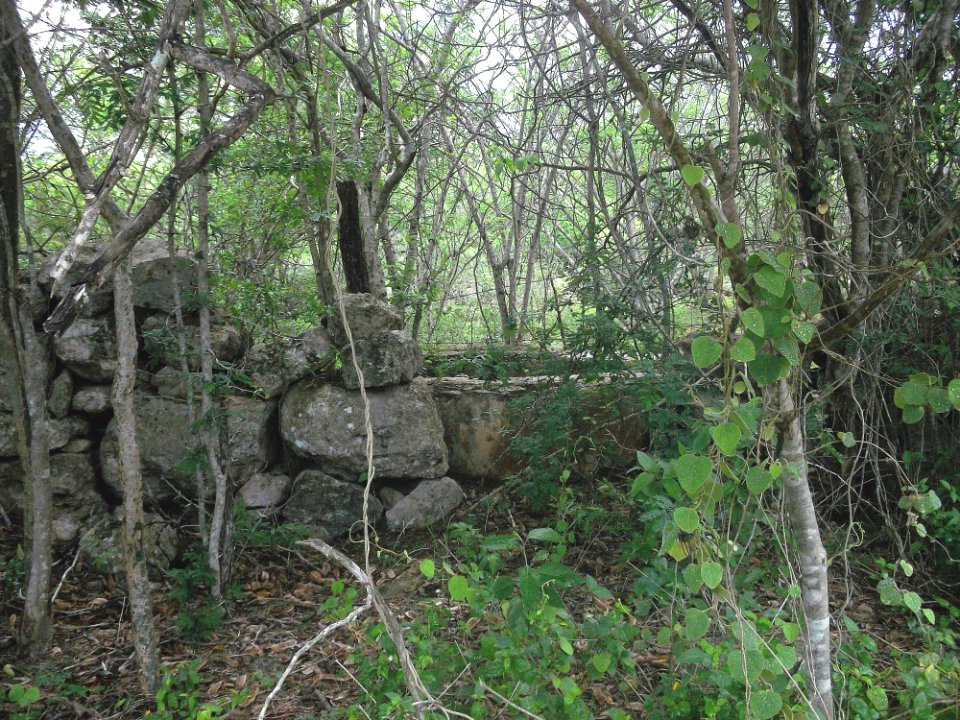 San Isidro (Mérida), Yucatán (01)