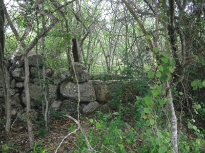 San Isidro (Mérida), Yucatán (01)