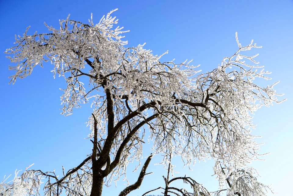 Iced snow cold