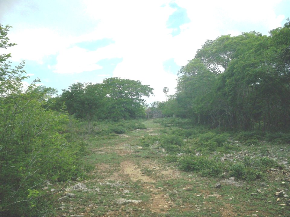 San Isidro (Mérida), Yucatán (03)