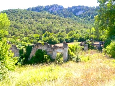 San Millán de San Zadornil 46