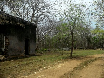 San Diego (Tekantó), Yucatán (16)