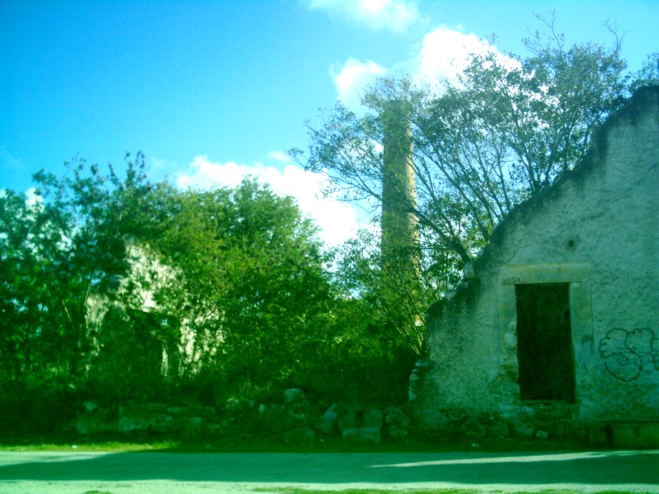 San Ignacio (Progreso), Yucatán (10)