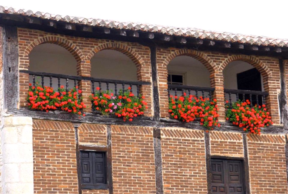 San Vicentejo 2