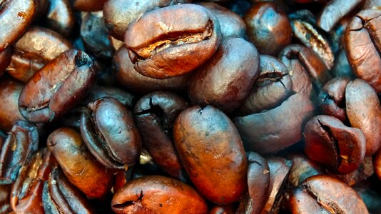 Coffee beans whole coffee beans