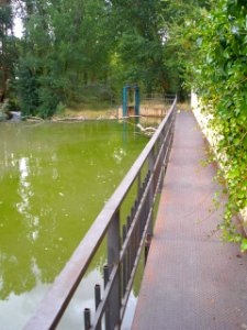 San Esteban de Gormaz - Río Duero 01