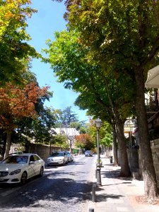 San Lorenzo de El Escorial - Calle Floridablanca 1