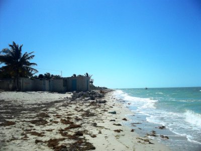 San Crisanto (Sinanché), Yucatán (05)