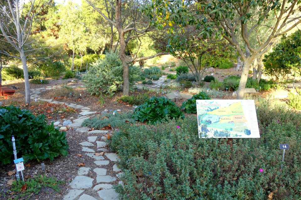 San Luis Obispo Botanical Garden - San Luis Obispo, CA - DSC05864