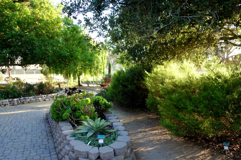San Luis Obispo Botanical Garden - San Luis Obispo, CA - DSC05954