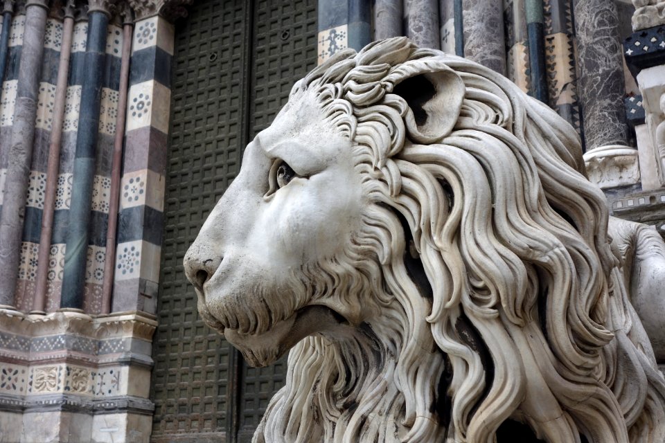 San Lorenzo (Genoa) - Lions along the stairs - DSC01288