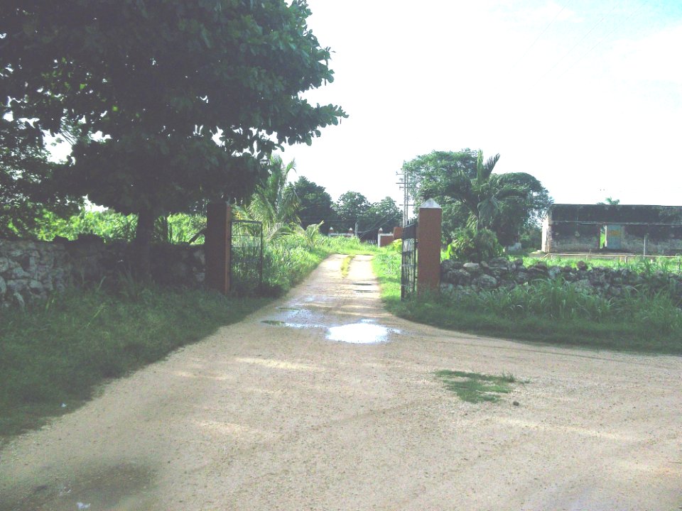 San Francisco (Tixkokob), Yucatán (01)