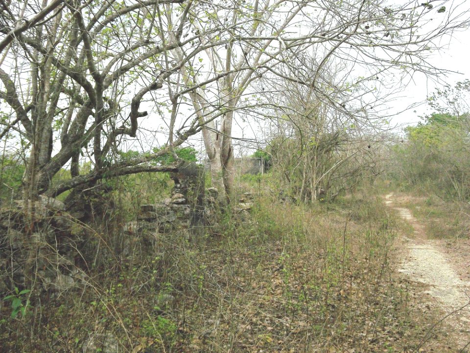 San Antonio Choil, Yucatán (02)