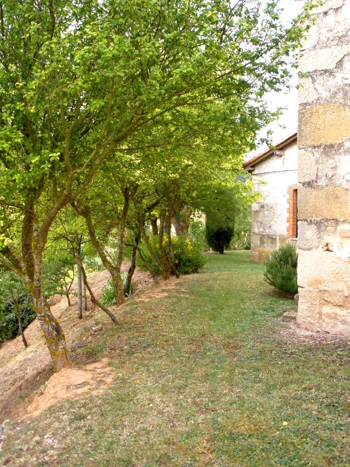San Martín de Zar - Iglesia de San Martín 5