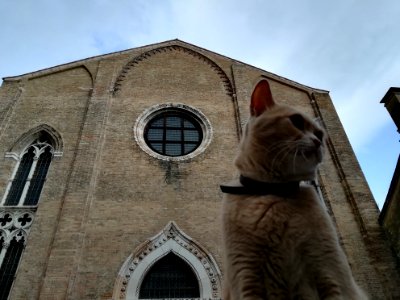 San Gregorio (Venice) 06