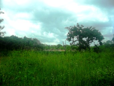 San Juan Hau, Yucatán (16)