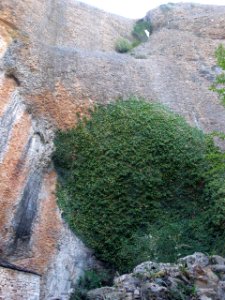 San Juan de la Peña - Monasterio Viejo 05