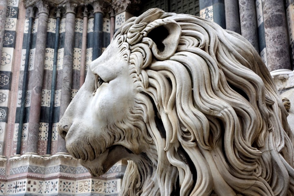 San Lorenzo (Genoa) - Lions along the stairs - DSC01291