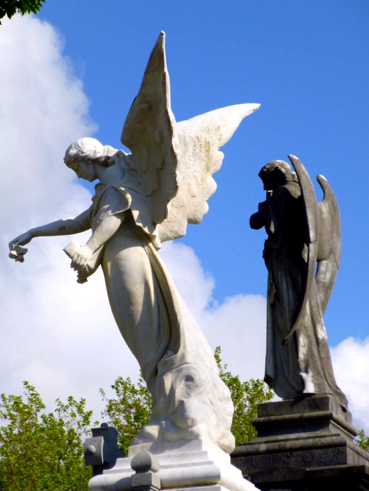 San Sebastián - Cementerio de Polloe 154