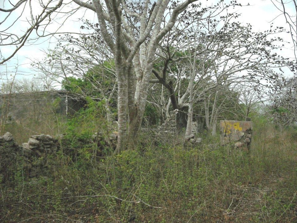 San Antonio Choil, Yucatán (03)