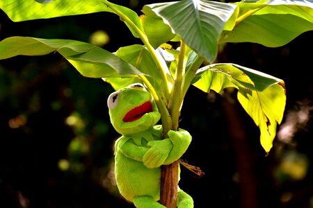 Green toys soft toy photo