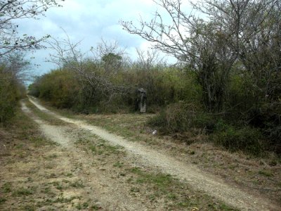 San Antonio Choil, Yucatán (01)