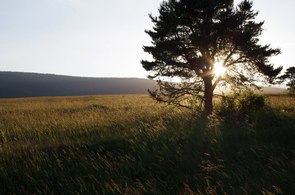 Sunset bollenberg under vosges hill