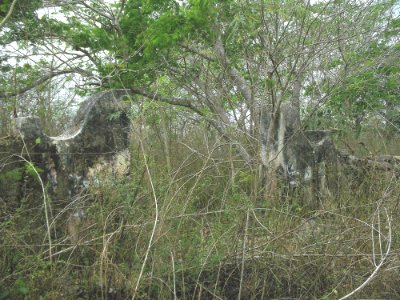 San Antonio Choil, Yucatán (06)