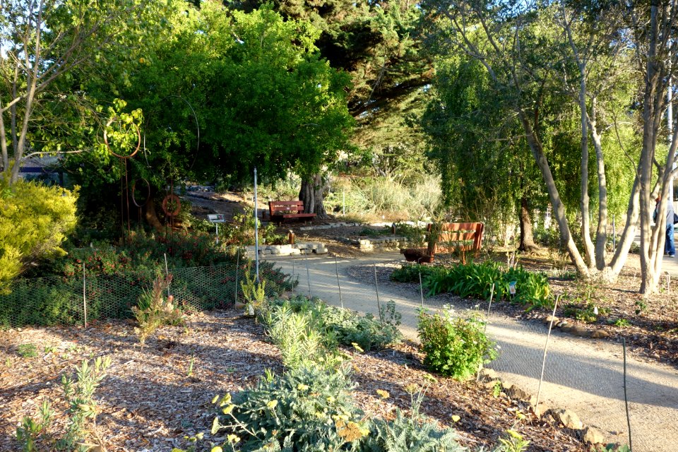 San Luis Obispo Botanical Garden - San Luis Obispo, CA - DSC05981