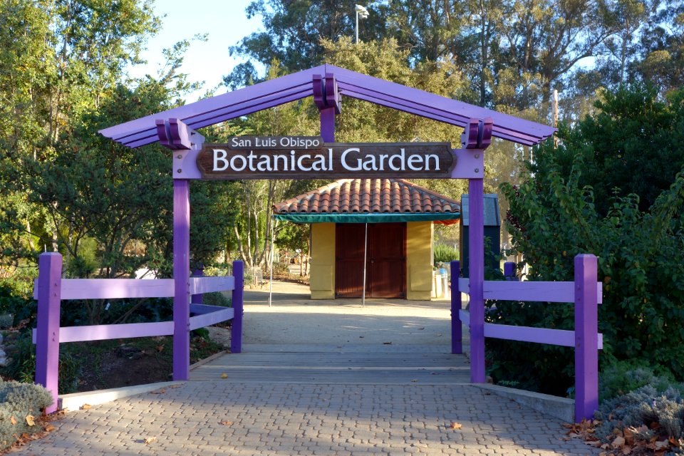San Luis Obispo Botanical Garden - San Luis Obispo, CA - DSC05862
