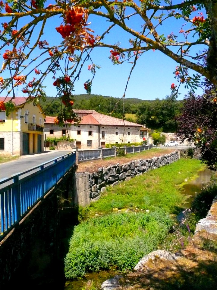 San Millán de San Zadornil 23