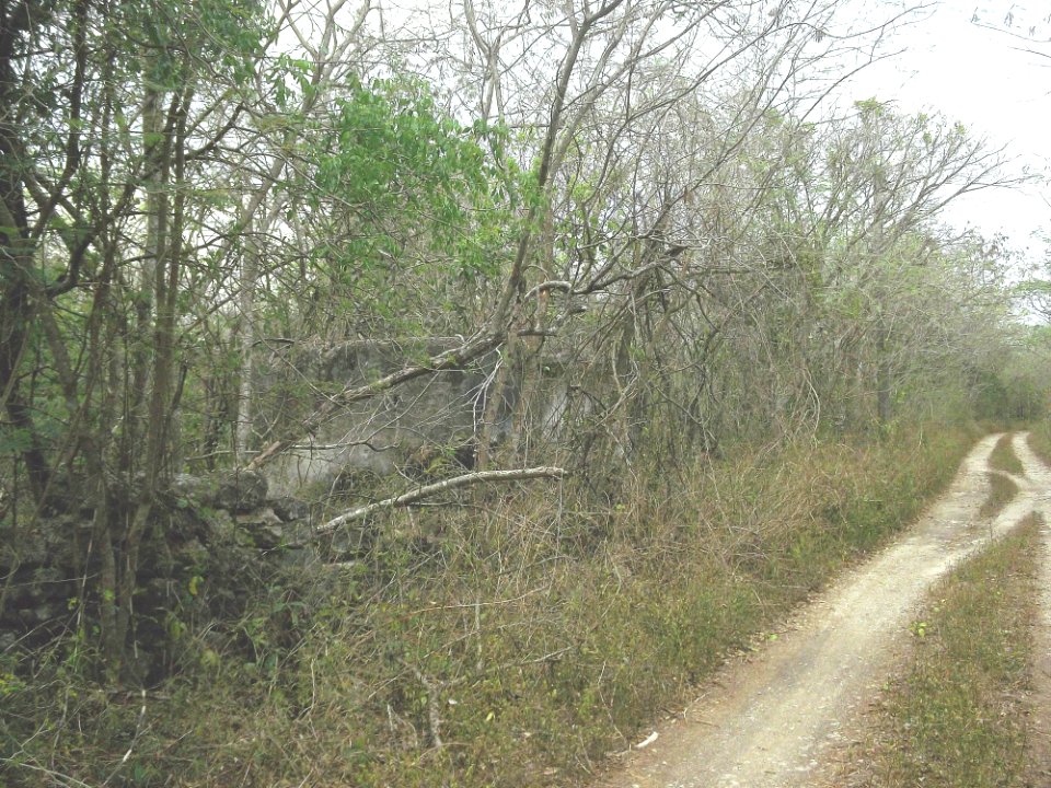 San Antonio Holcá, Yucatán (03)