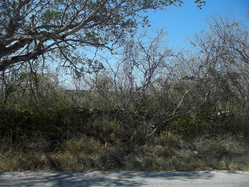 San Manuel (Mérida), Yucatán (01)