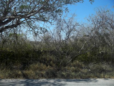 San Manuel (Mérida), Yucatán (01)