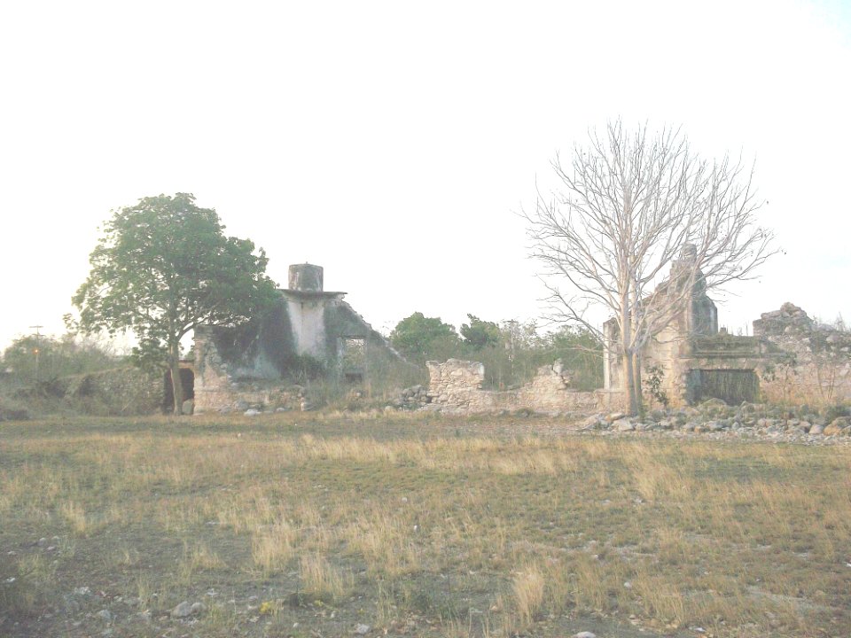 San Juan Koop, Yucatán (08)