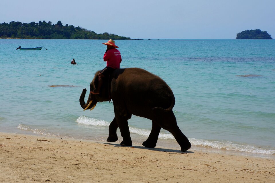 Horizon thailand seascape