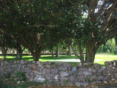 San Antonio Baspul, Yucatán (03)