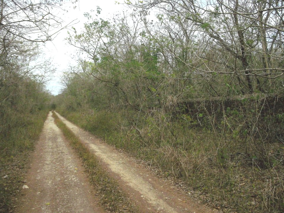 San Antonio Holcá, Yucatán (02)