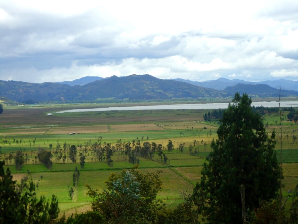 San Miguel de Sema Ganaderia Laguna